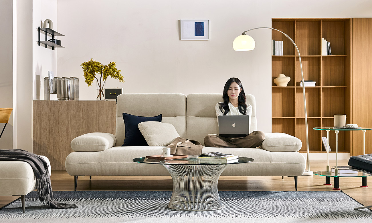 [Reva-lution 25%]  레바 3인 기능성 듀위브 패브릭 소파+쿠션1개